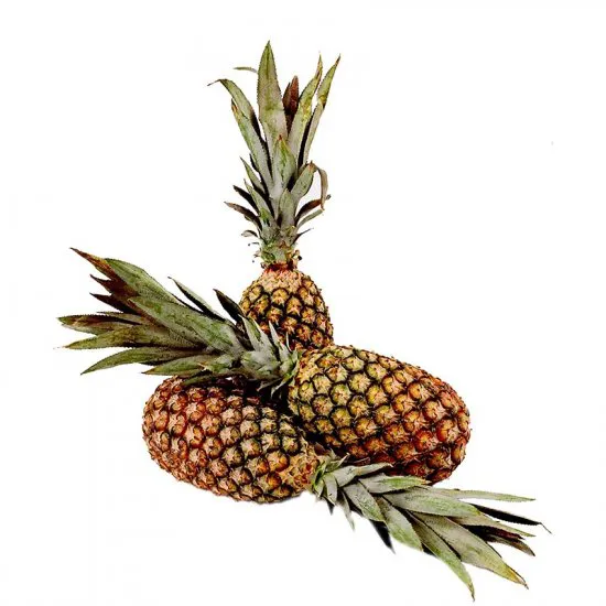 Abacaxi