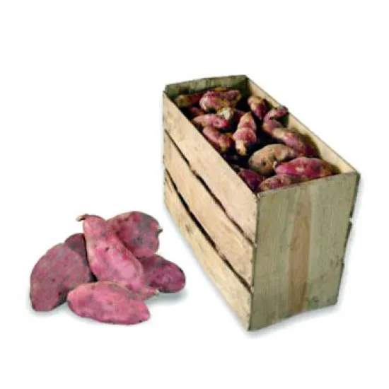 Batata Doce